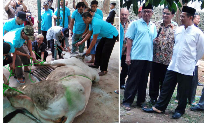 Rp20 M, Anggaran Embrio Sapi Unggul 2017 Dukung Upsus Siwab Kementan